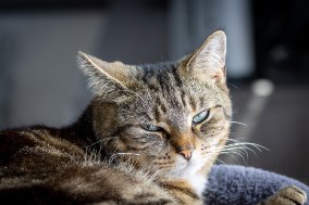 250609_123417_IMG_7537_LR