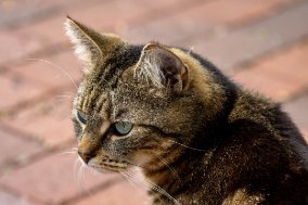 250609_123710_IMG_7539_LR