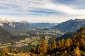 251019_123737_IMG_7708_LR