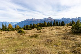 251019_132723_IMG_7732_LR