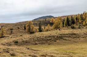 251019_133028_IMG_7744_LR