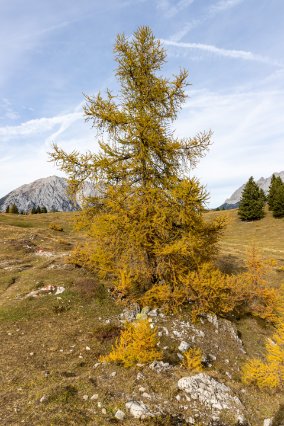 251019_133520_IMG_7749_LR