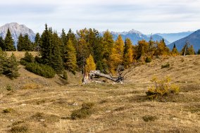 251019_133616_IMG_7751_LR