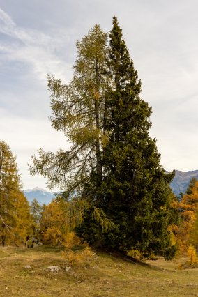 251019_134423_IMG_7760_LR